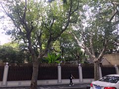 -RUMORS COFFEE ROASTERY鲁马滋咖啡(湖南路店)