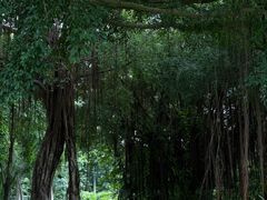 -南宁南湖公园