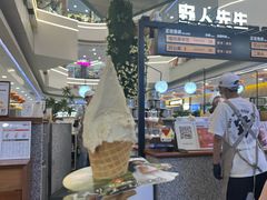 -野人先生Gelato(上海长宁龙之梦店)