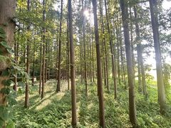 -南京金牛湖风景区