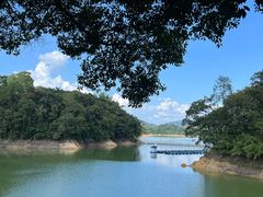 -广州市流溪河国家森林公园