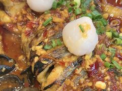 -鱼酷活鱼烤鱼(沈阳大悦城店)