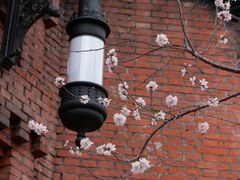 -圣·阿列克谢耶夫教堂