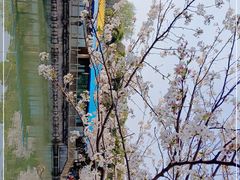 -玉山公园