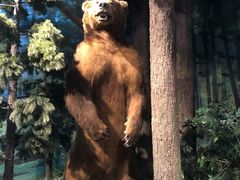 -陕西自然博物馆