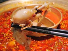 -哥老官重庆美蛙鱼头(宝山龙湖店)
