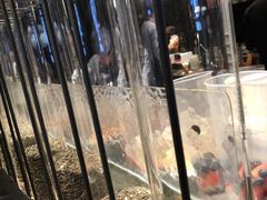 -喜茶(北京三里屯太古里店)