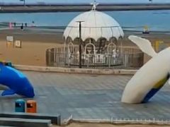-在海一方公园