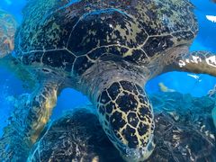 -泉城欧乐堡海洋极地世界