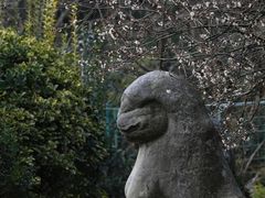 -香雪海
