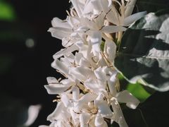 -豆舞咖啡(民乐路店)