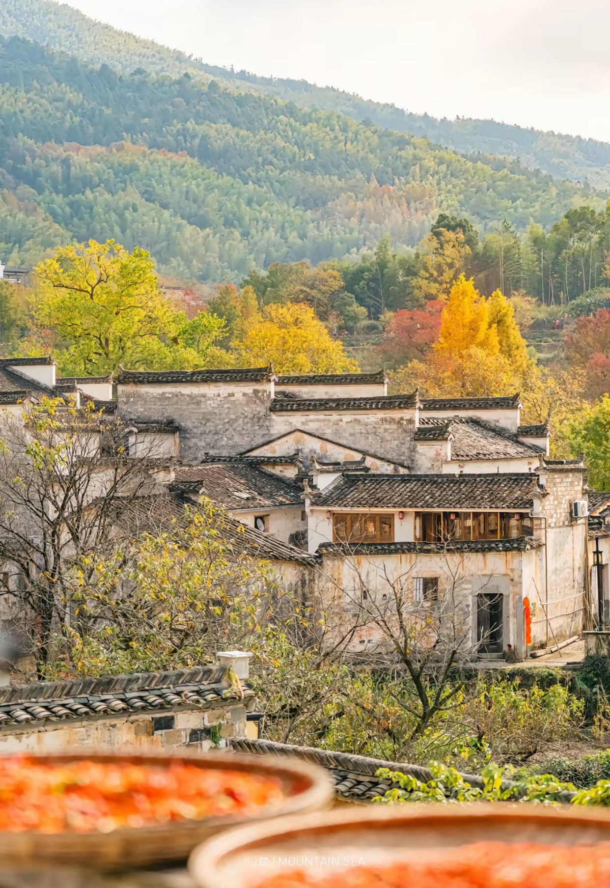 皖南的秋色,有一种无法用语言描述的美!