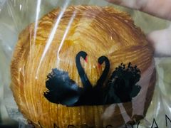 -BLACKSWAN黑天鹅(环球店)