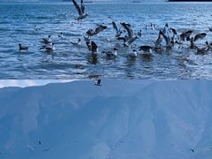 -丽江泸沽湖景区