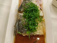 -常胜鲍鱼(吉大店)