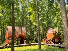 -黄海国家森林公园