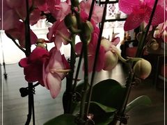 -LANN I 蘭 泰式古法按摩(徐家汇城开YOYO店)