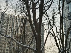 -蛙蛙叫干锅年代(簋街总店)