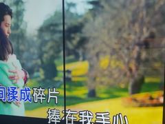 -温莎KTV(珠江路店)