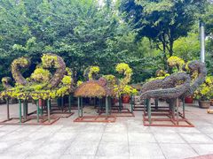 -南山植物园