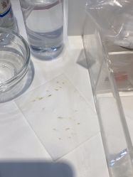 -skin79皮肤管理中心