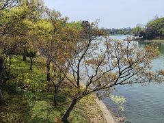-尚贤河湿地