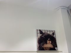 -王守财小山園