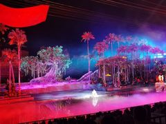 -三亚红色娘子军演艺公园景区