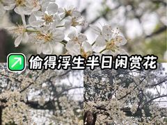 -仙岳公园