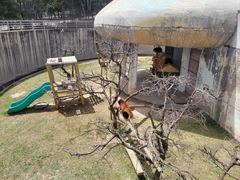 -青藏高原野生动物园