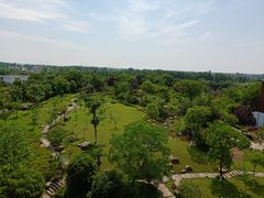 -洪湖悦兮半岛国际温泉度假村