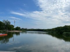 -大兴滨河森林公园