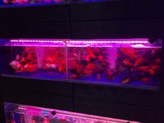 -三旗百汇商品城