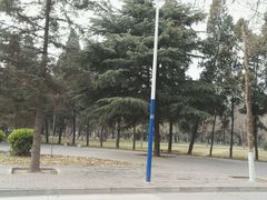 -西北农林科技大学(北校区)