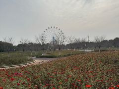 -云幽谷旅游区