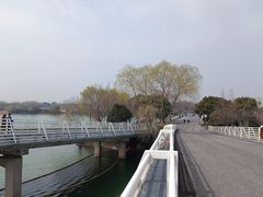 -贡湖湾湿地公园