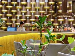 -théATRE茶聚场·餐厅(环球金融中心店)