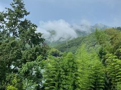 -原乡芦茨咖啡