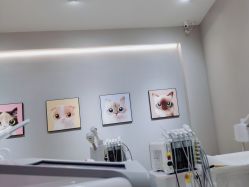 -洗脸猫·洗脸吧