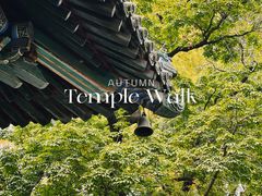 -潭柘寺景区