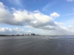 -碧海金沙