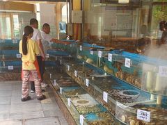 -晓伟海鲜家常菜