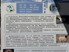 -青藏高原野生动物园