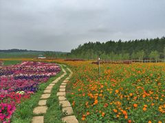 iphone_upload_pic-北纬44度·金珠花海休闲农业旅游景区