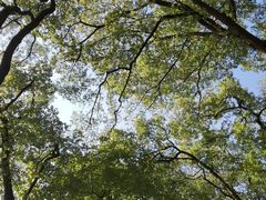 -南山植物园