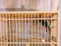 -Rabbit Cafe私房西餐甜点咖啡(栖霞路店)