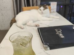 -喵园·猫主题咖啡厅·撸猫·猫咖(国贸店)