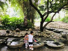-成都市活水公园