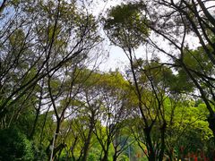 -云溪植物园