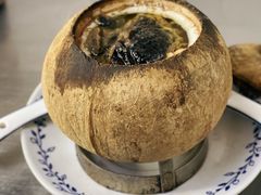 -達揚原味燉品(文明路店)